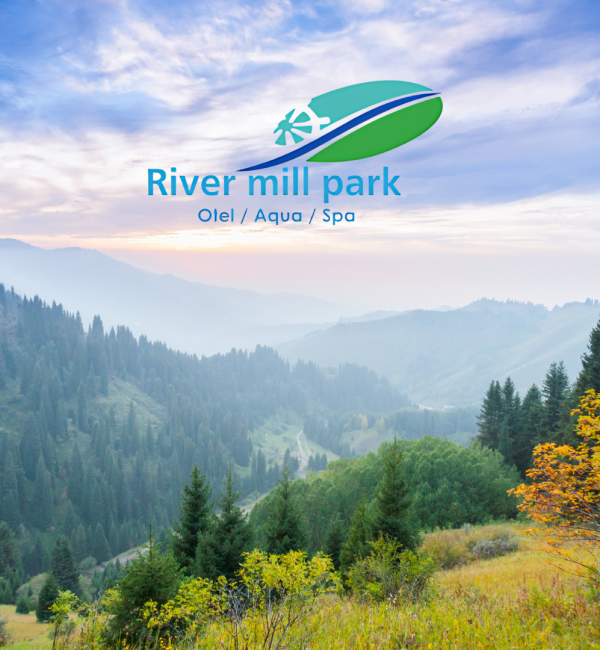 RİVER MİLL PARK